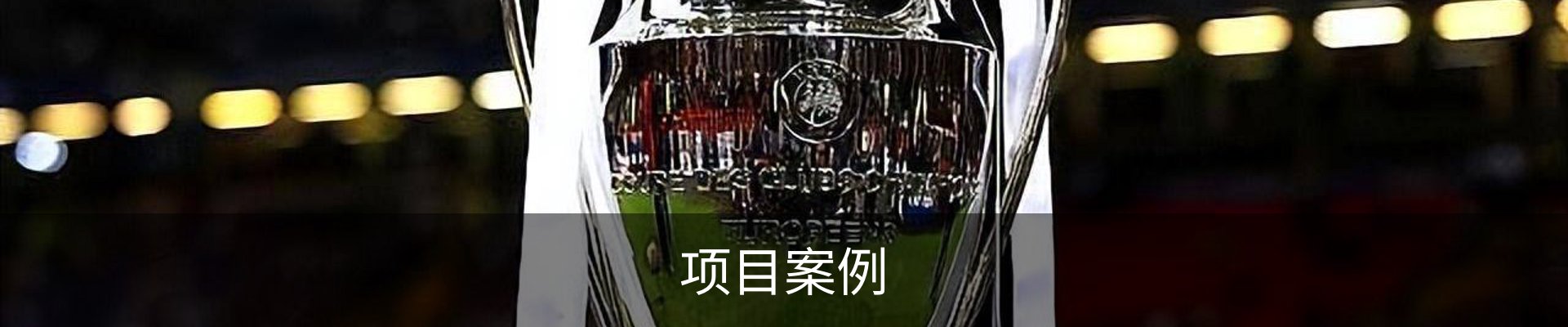 项目案例